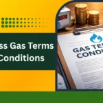 Business Gas Terms and Conditions